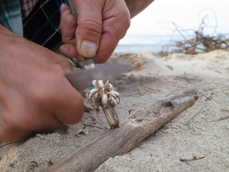 Survival Kettle, kuchenka turystyczna nad Bałtykiem