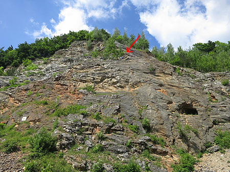 Survival Kettle, kuchenka turystyczna, Wojcieszów 2014
